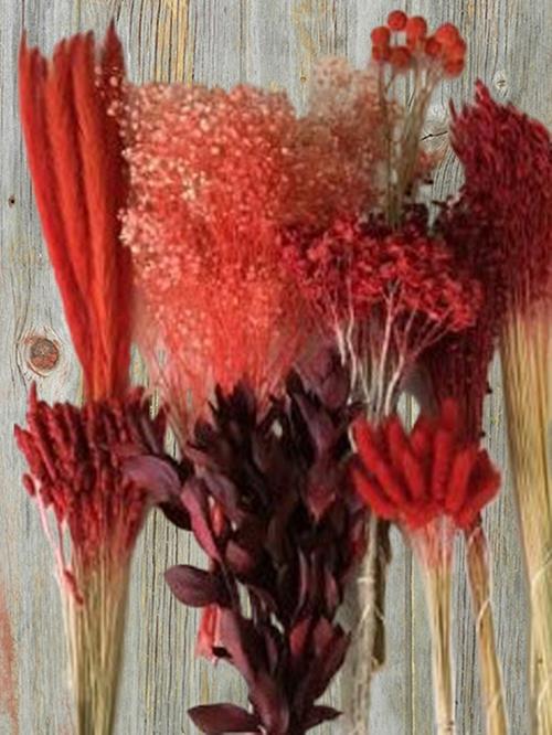 MONOCHROMATIC TINTED RED DRIED GRASSES AND FILLERS ASSORTED COMBO BOX